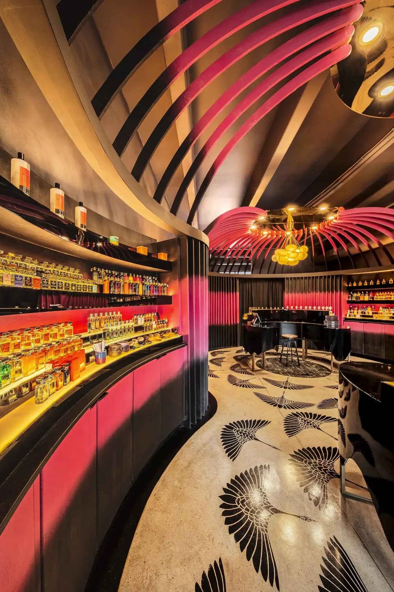 Curved wall and shelving, vertical view