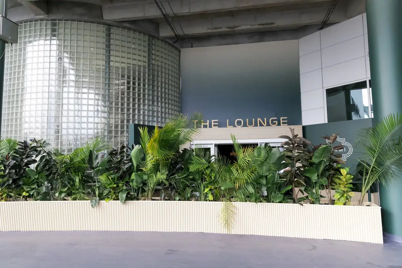 The Lounge planters